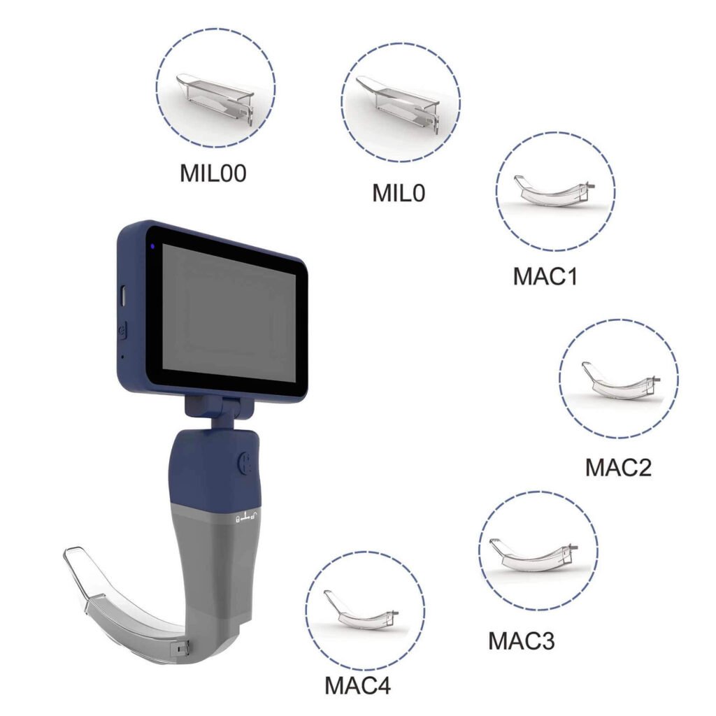 Blade Sizes from Premature to Adult